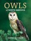 Cover of Owls of North America