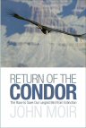 Cover of Return of the Condor