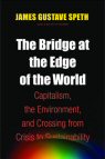 Cover of The Bridge at the Edge of the World