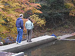Philadelphia Inquirer writer Tom Avril visits a Pennsylvania dam slated to be removed in the near future, on the 'Dammed if you do' tour.  Engineers and project managers spoke to the group about the removal process that will restore the stream to its natural course.