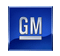 General Motors logo.