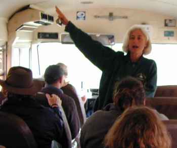 Catalina Island bus ride